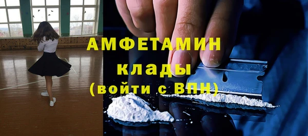 индика Белоозёрский