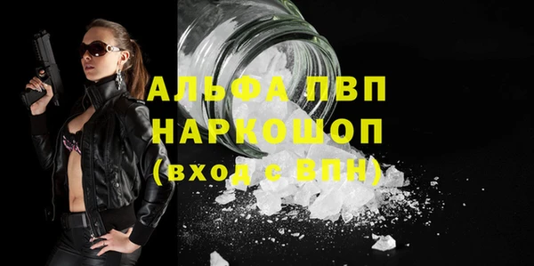 индика Белоозёрский