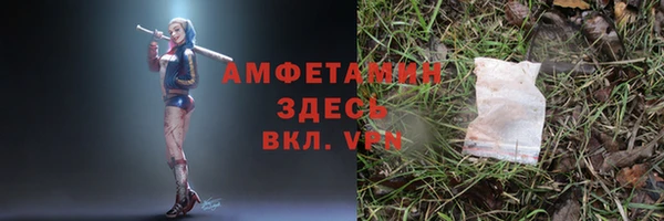 индика Белоозёрский
