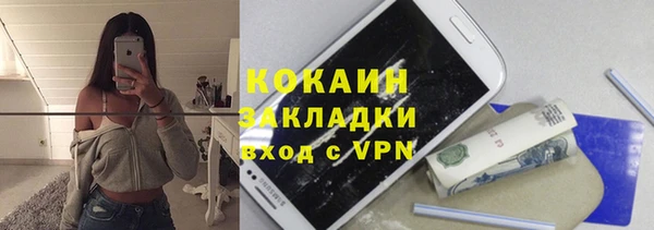 индика Белоозёрский