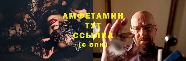 индика Белоозёрский