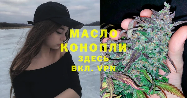 индика Белоозёрский