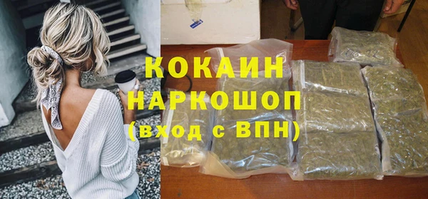индика Белоозёрский