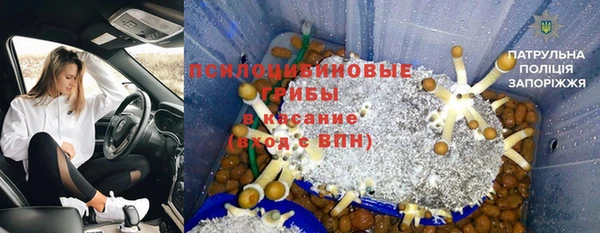 индика Белоозёрский