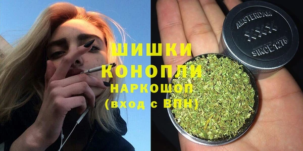 индика Белоозёрский