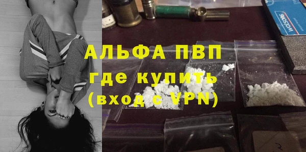 индика Белоозёрский